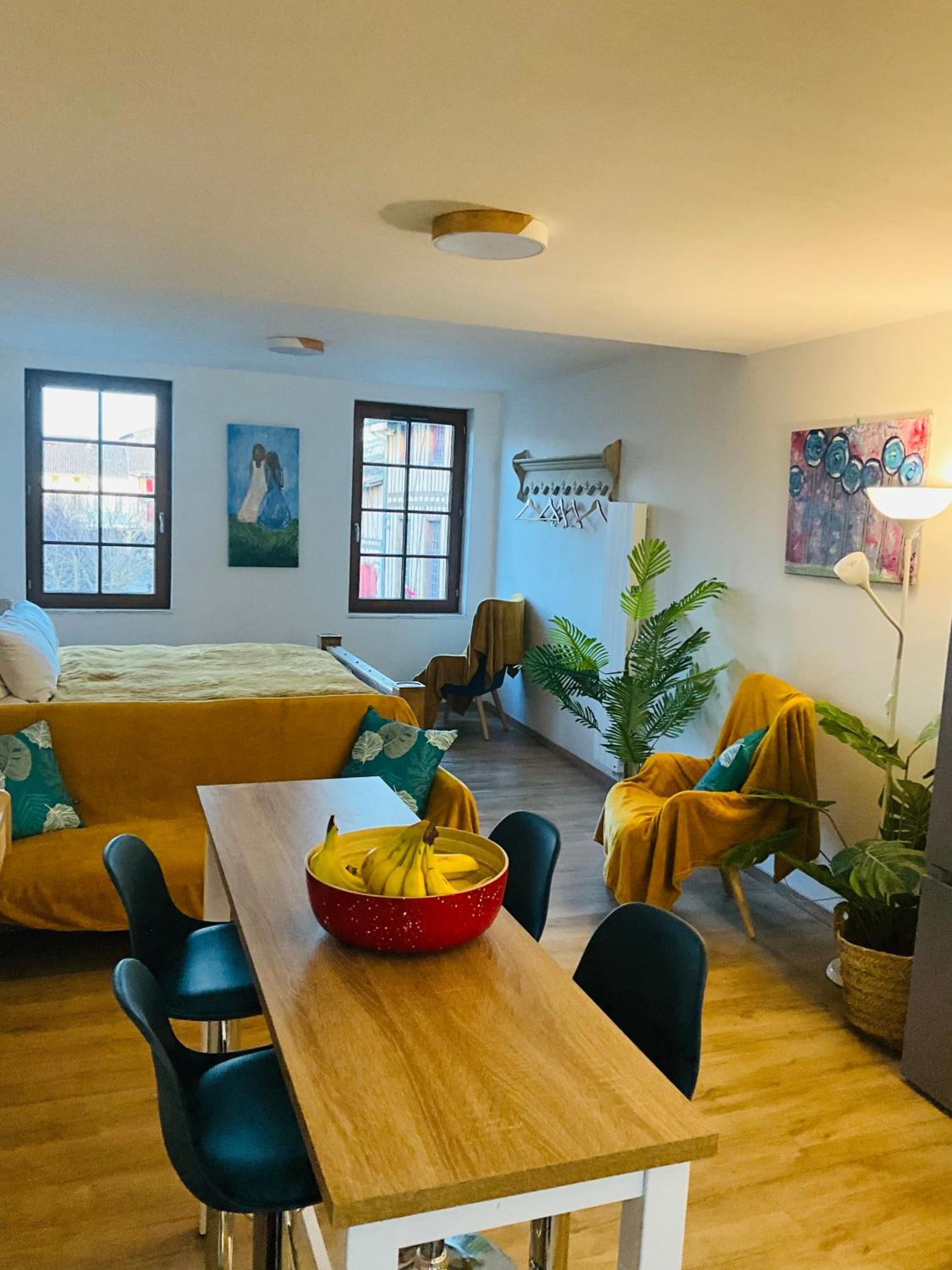 Labyrinthe Sur La Place D, Hotes , Calme ,netflix Apartment Mirepoix (Ariege)